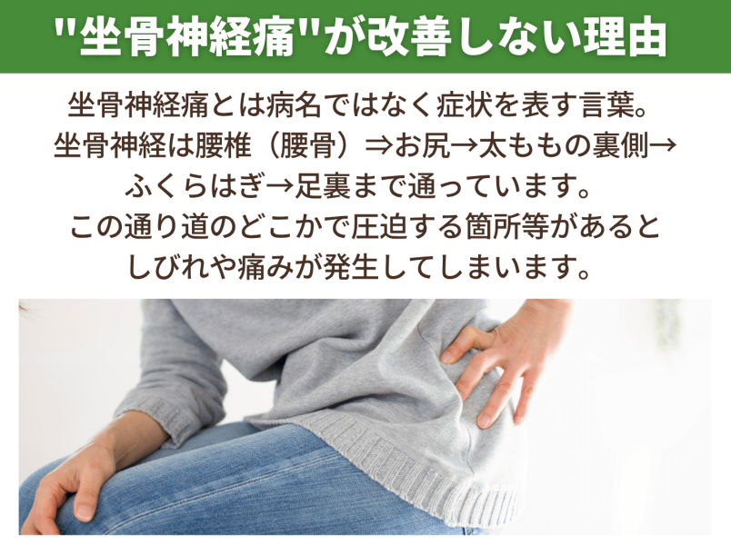 坐骨